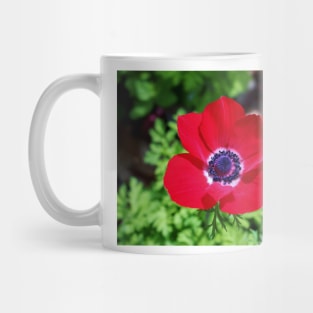 Red Anemone Mug